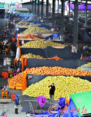 广州市民消费的蔬菜中有八成以上经由江南果菜批发市场流转.