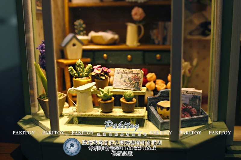 娃娃屋：欧洲旅行日记系列--阿姆斯特丹的花店