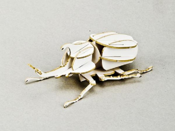 昆虫系列-独角仙甲虫