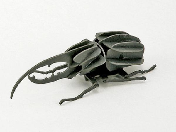昆虫系列-长戟大兜虫