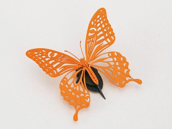 昆虫系列-蝴蝶