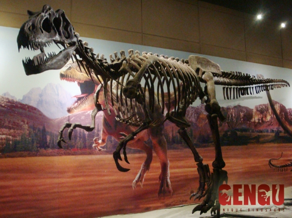仿真恐龙化石 恐龙骨架 古生物化石
