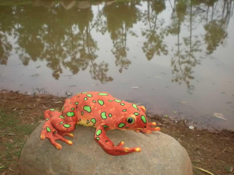海乐园毛绒玩具桔红色青蛙 厂家直销印花毛绒玩具
