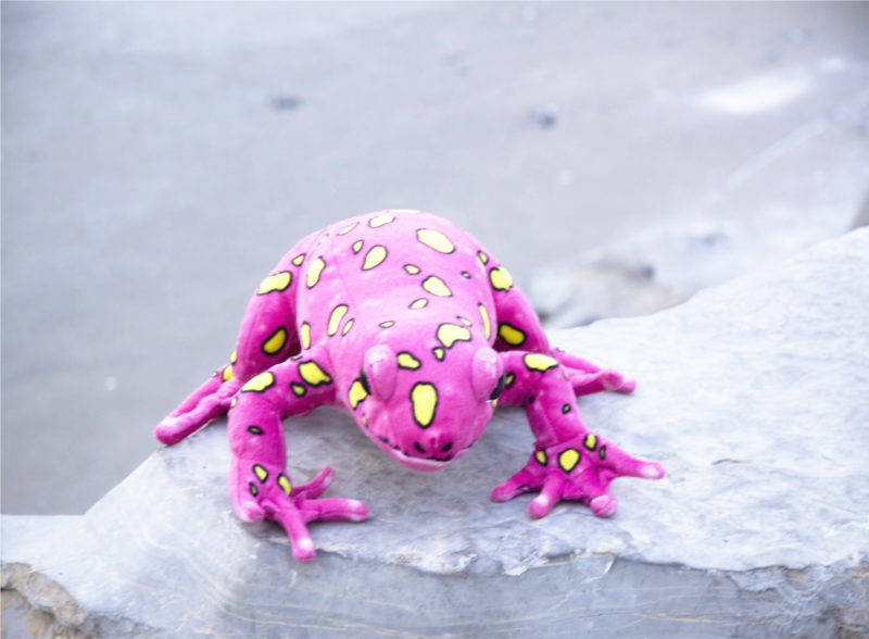 海乐园毛绒玩具粉色青蛙 厂家直销毛印花玩具