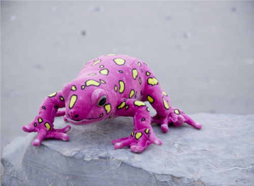 海乐园毛绒玩具粉色青蛙 厂家直销毛印花玩具