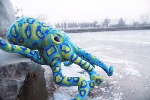 海乐园毛绒玩具蓝色豹纹章鱼 厂家直销海洋毛绒玩具