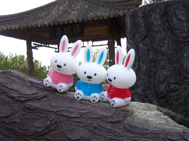 益智玩具 闪光玩具 塑料玩具 闪光兔子