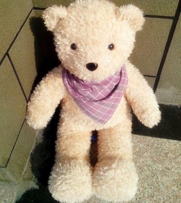 毛绒玩具泰迪熊