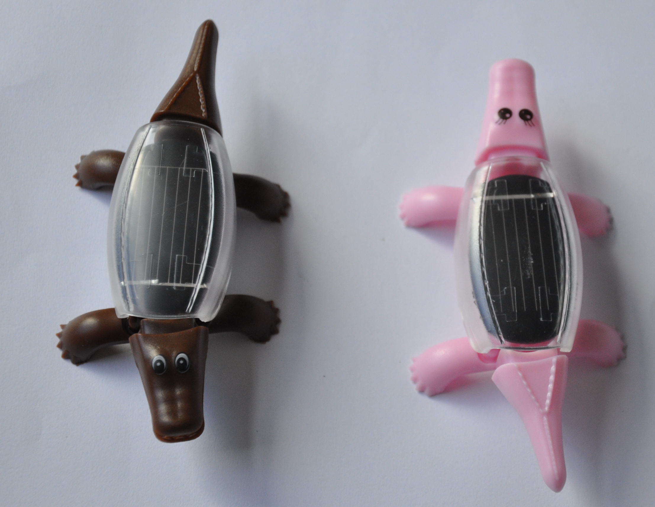 太阳能鳄鱼 智力开发玩具 益智科教玩具 新奇特玩具