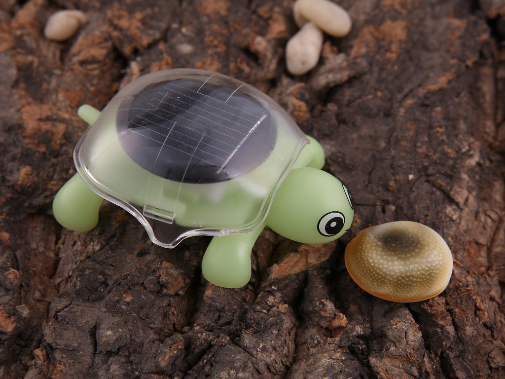 太阳能乌龟 新奇特玩具 太阳能益智玩具