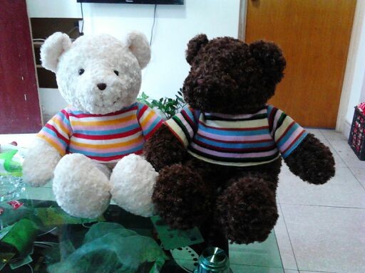 毛绒玩具泰迪熊