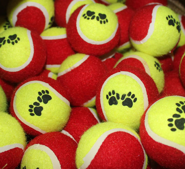 批发宠物网球 二级宠物球 B级宠物球 狗咬网球