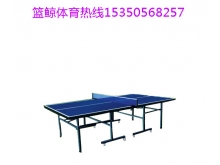 学校专用乒乓球桌批发商品质厂家物美价廉