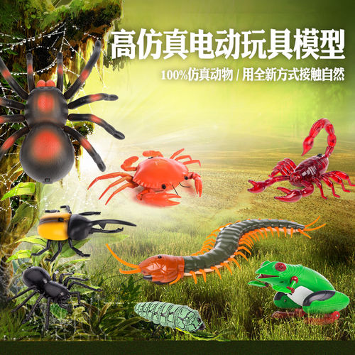 儿童高仿真昆虫世界电动模型遥控蜘蛛青蛙螃蟹蝎子甲虫整蛊玩具