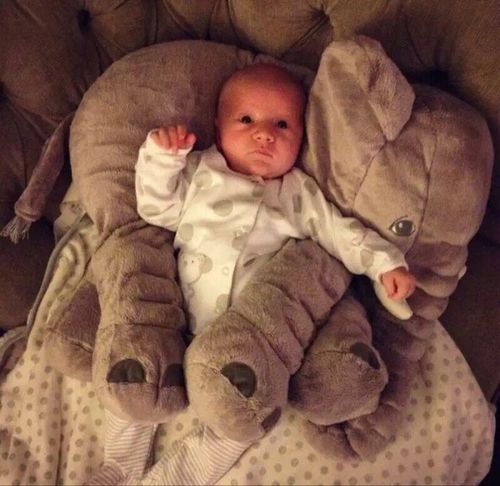 现货ins毛绒玩具大象宝宝玩具大象抱枕送宝宝礼物