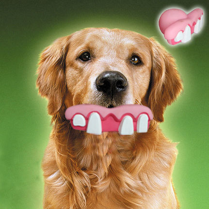 笑娃厂家直销搪胶发声宠物狗狗玩具牙齿