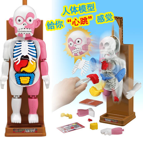 4D master 台湾恐怖拼装人体模型仿真内脏立体拼图玩具