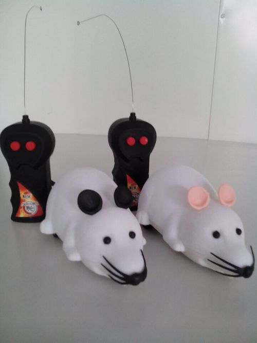 二通植绒遥控老鼠塑料动物整蛊玩具