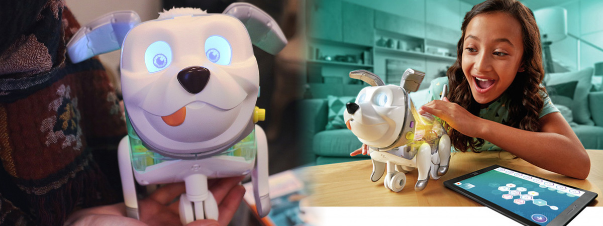 孩之宝也推STEM科学玩具：Proto Max小狗