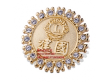 供应LIONS国际狮子会徽章 镶钻纪念徽章 厂家专业生产