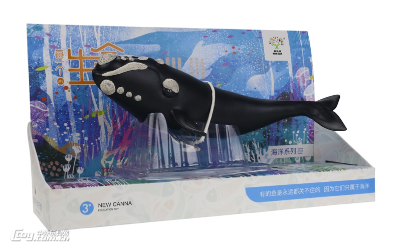 海洋动物模型玩具系列露脊鲸X137