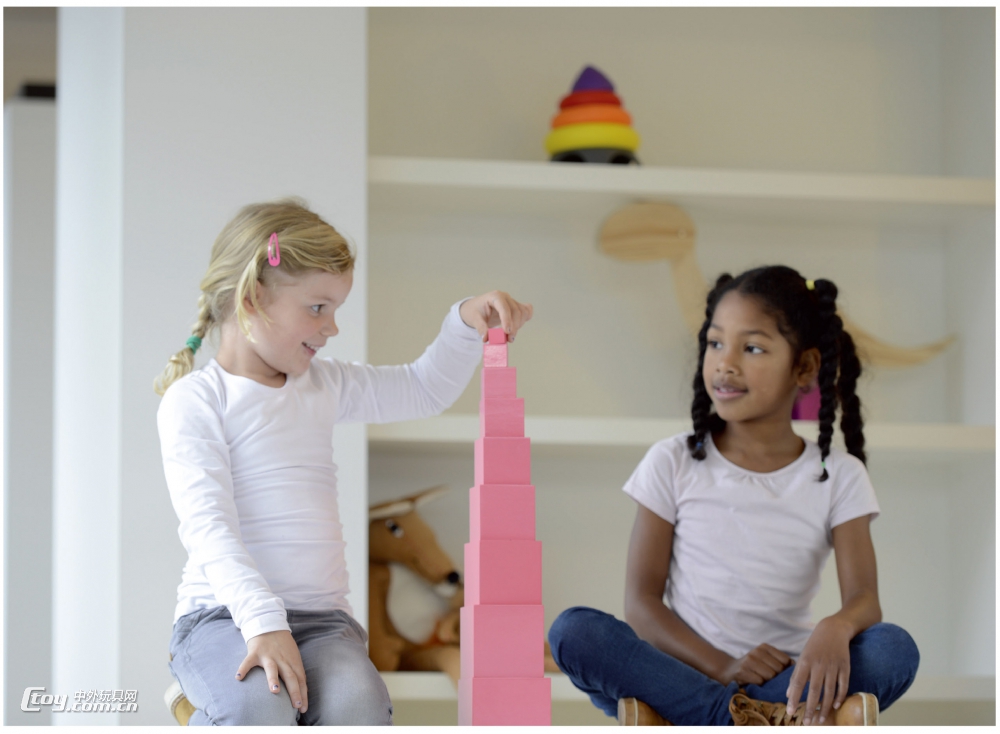 Nienhuis Montessori 粉红塔蒙氏教具儿童启蒙益智教学玩具