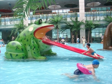 广州厂家直供水上游乐设备-儿童戏水设备-青蛙滑梯