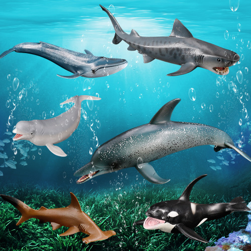 TLAND海洋动物模型