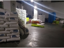 幼儿塑料睡床 广西幼儿园专用儿童床 广西梧州市厂家批发