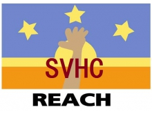 东莞提供欧盟REACH第22批205项SVHC检测报告玩具