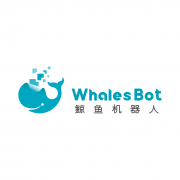 上海鲸鱼机器人科技有限公司