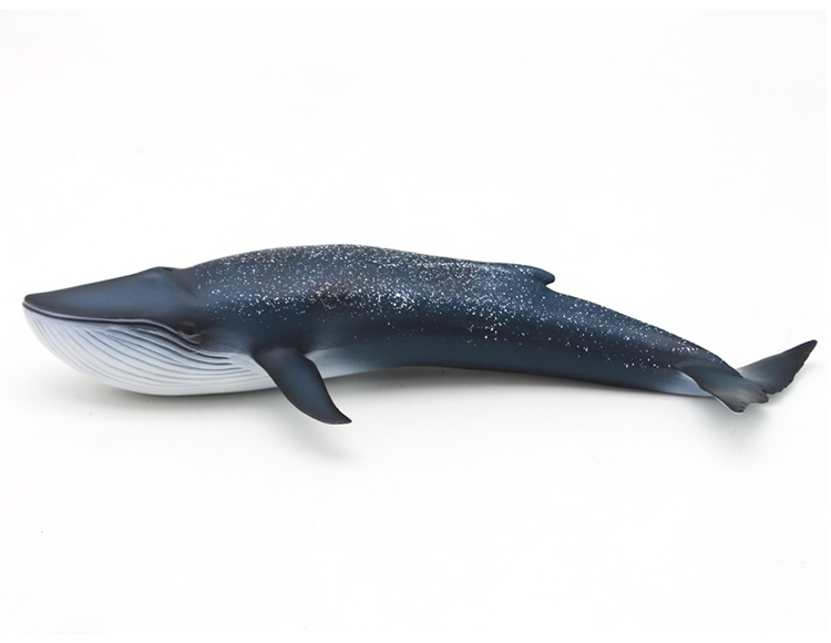 仿真海洋动物模型玩具-蓝鲸M6001