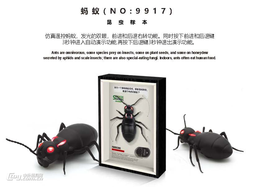 嘉会峰【昆虫标本系列】遥控仿真蚂蚁9917