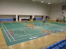 济南塑胶地板，乒乓球地胶，羽毛球地胶