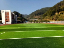 50mm高足球场人造草坪