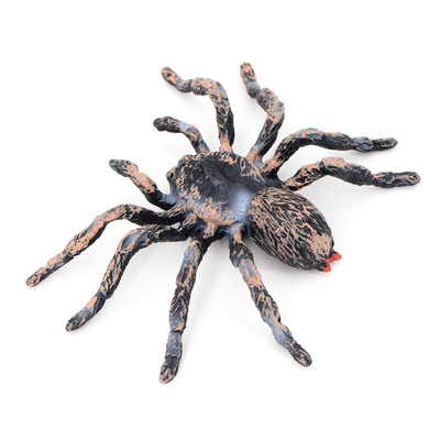 巴西白漆头蜘蛛仿真昆虫动物模型