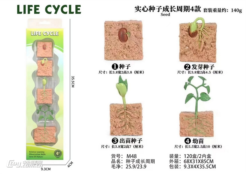 新款益智动物成长周期4PCS