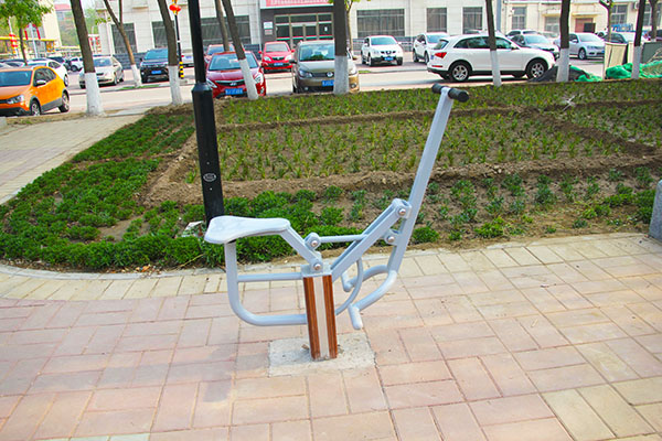 新国标塑木户外健身器材塑钢小区公园广场公共体育设施室外路径