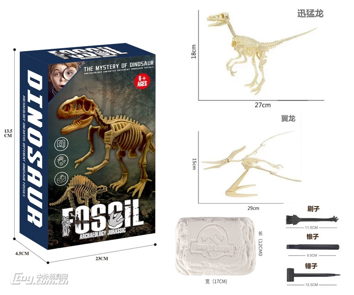 新款益智考古恐龙化石DIY（霸王龙剑龙两款混装）