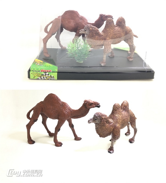 新款实心动物骆驼2款