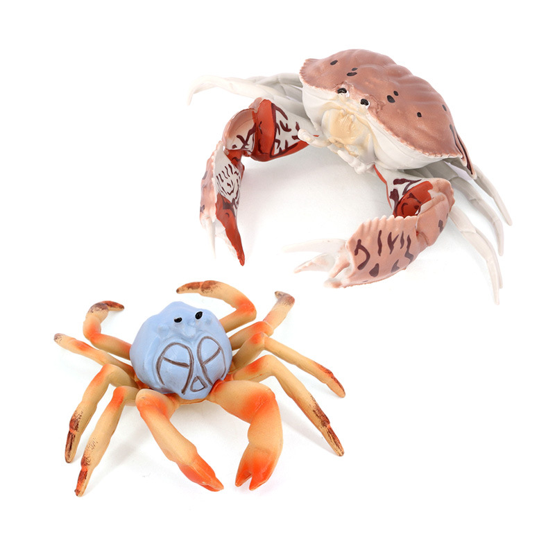 仿真螃蟹海洋动物模型