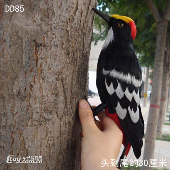 仿真啄木鸟摄影道具教学标本仿真动物园林装饰羽毛仿真鸟摆件