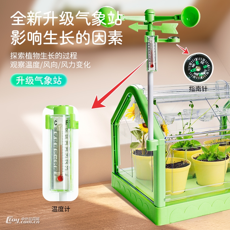 阳光房种植儿童种菜玩具科学实验盆栽手工diy材料植物花房