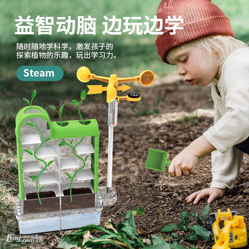 植物迷宫儿童玩具学生科学实验手工diy生物种植种子材料包
