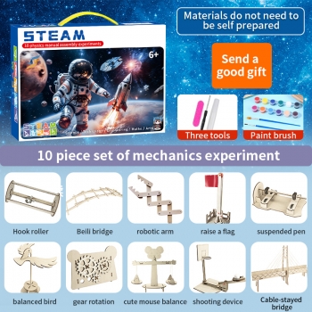 DIY木制力学实验-10合1  科学实验套餐